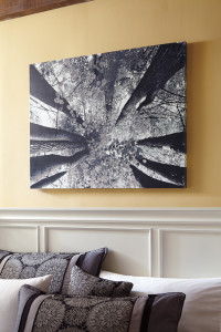 A8000035 Ananya Wall Art